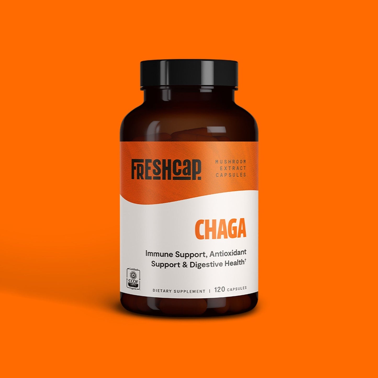 Chaga Mushroom Extract Capsules