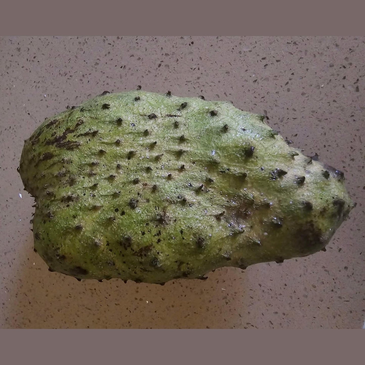 Soursop Sea Moss Gel | Organic Superfood Blend | Immune, Digestive & Vitality Support | SP Health & Beauty