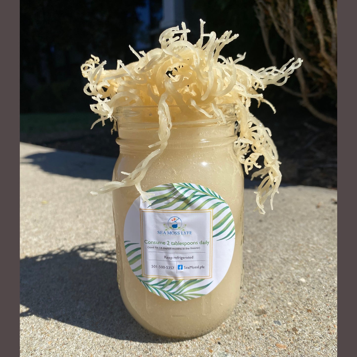 Plain Sea Moss Gel 16oz