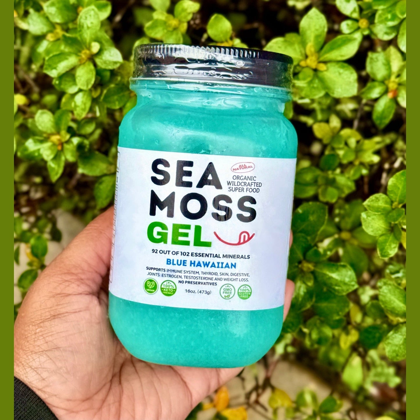 Flavored Sea Moss Gel - Dr. Sebi Inspired 100% Raw Organic - Wild Harvested Sea Moss