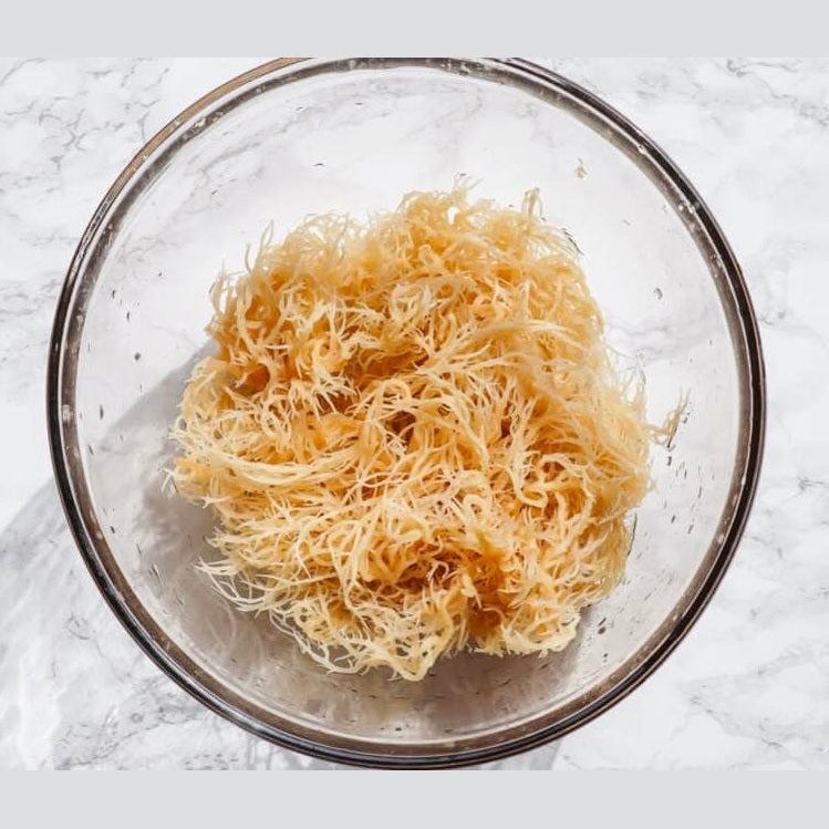 Raw Organic Sea Moss