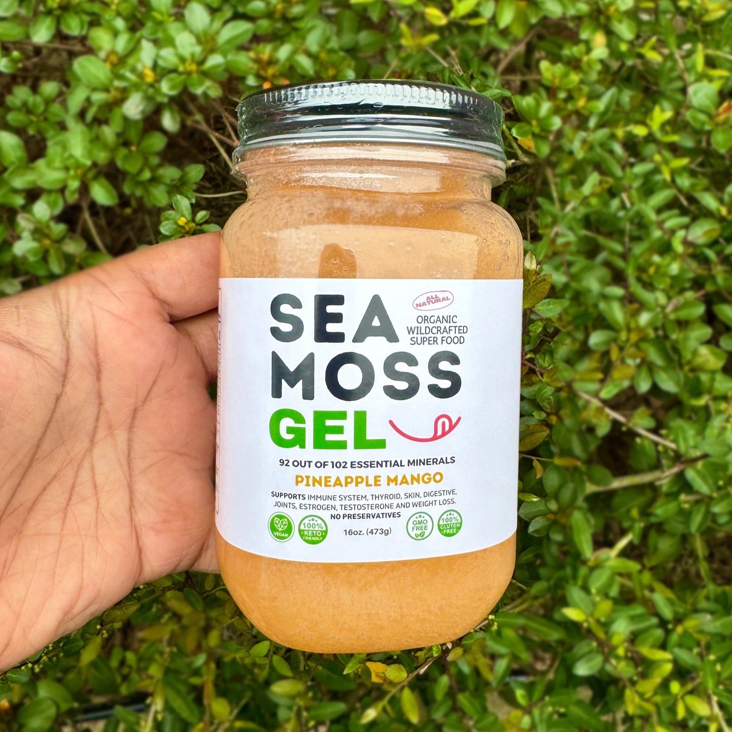 Flavored Sea Moss Gel - Dr. Sebi Inspired 100% Raw Organic - Wild Harvested Sea Moss