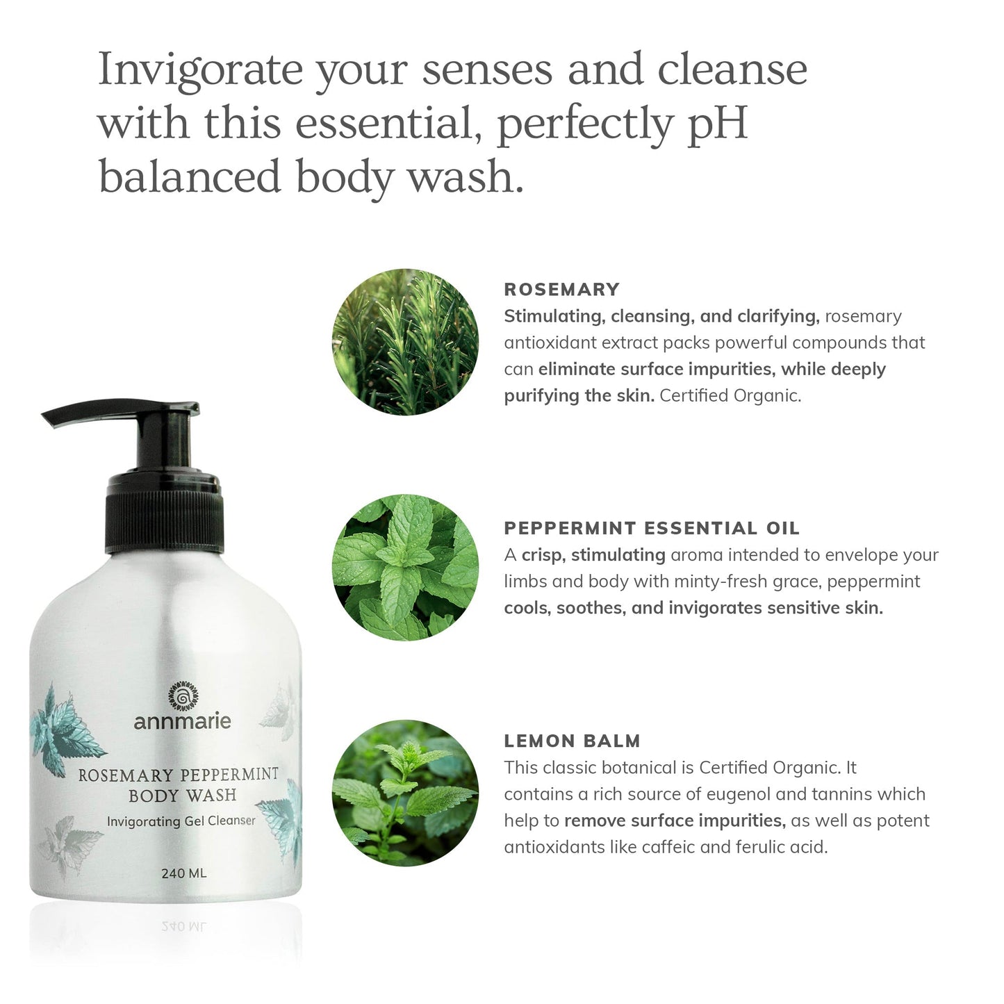 Rosemary Peppermint Hand & Body Wash 240ml - Collective