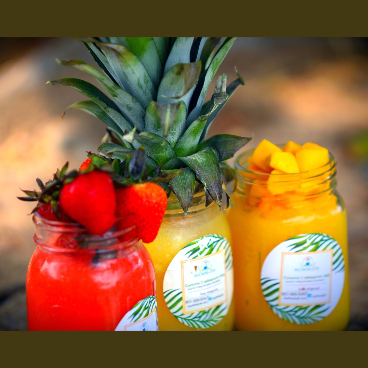 Island Vibes Trio Bundle