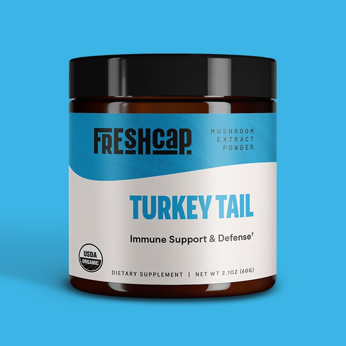 Turkey Tail Mushroom Extract Powder