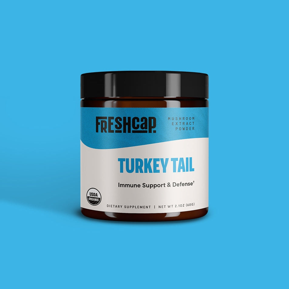 Turkey Tail Mushroom Extract Powder