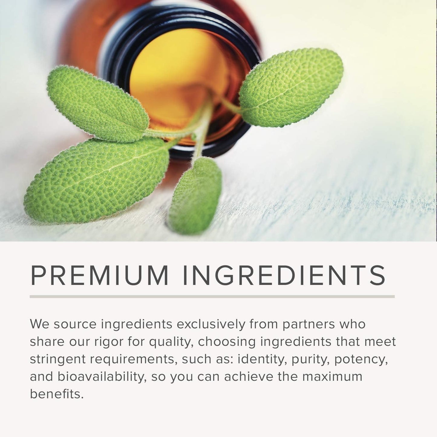 NusaPure Odorless Garlic 100:1 Extract, 50 mg Capsule | 120 Veggie Caps | High Potency | Herbal Supplement | Non-GMO