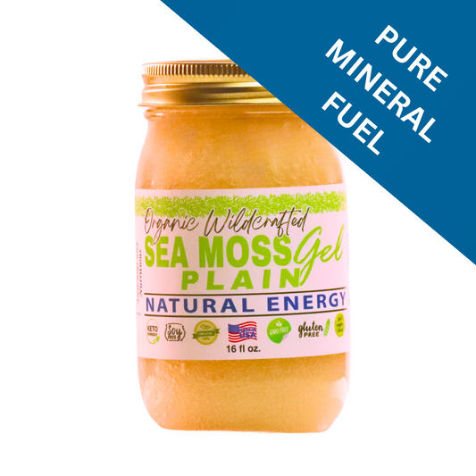Plain Sea Moss Gel   16oz