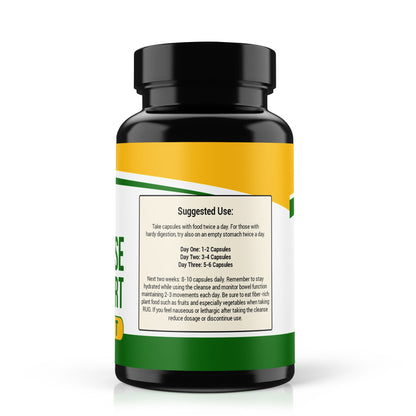 Gut & Immune Wellness Herbal Blend | Natural Digestive & Immune Support | SP Health & Beauty