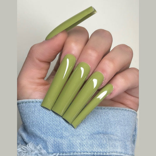 Olive Babe