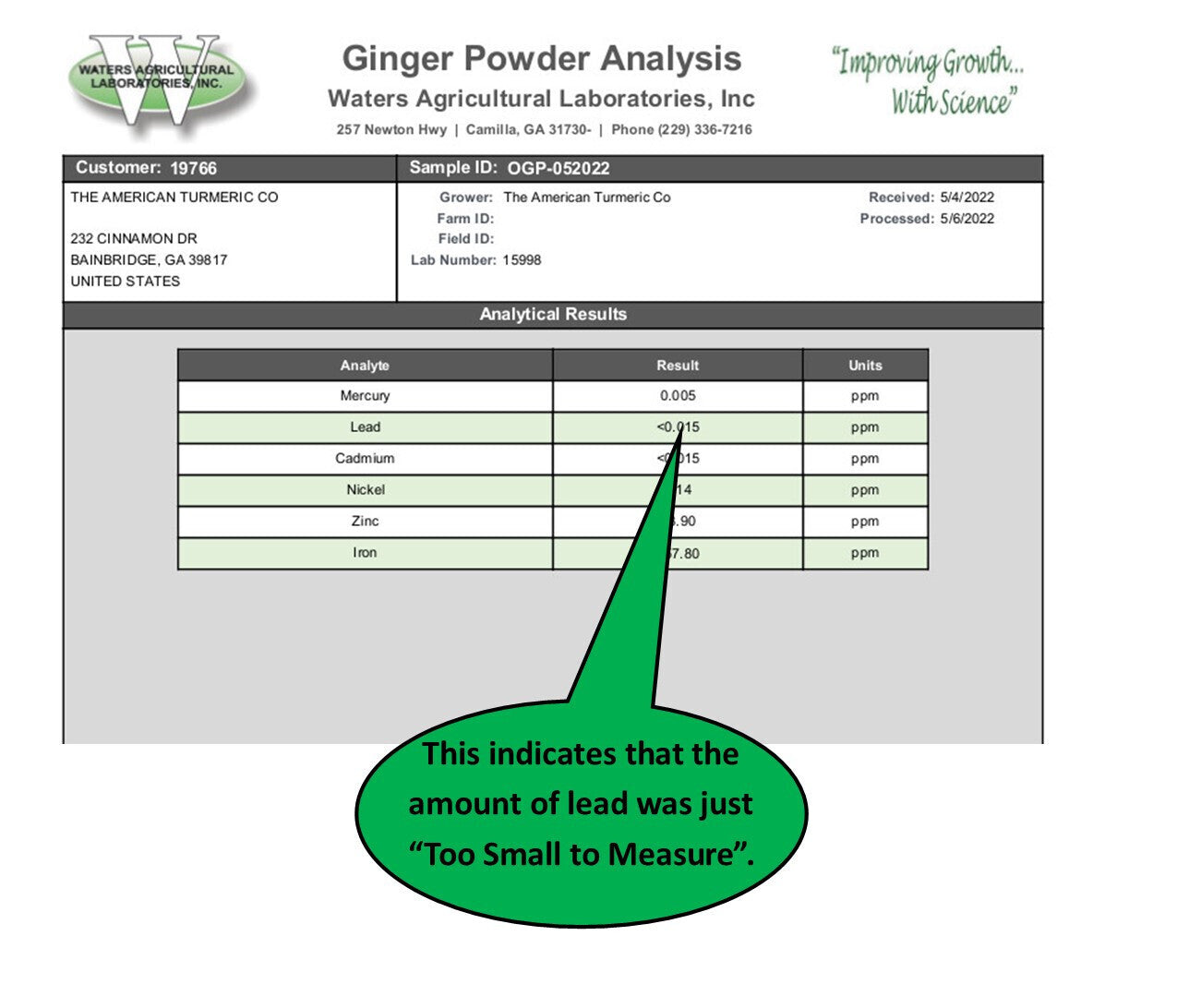 Ginger Powder - Naturally Grown and Lab Tested