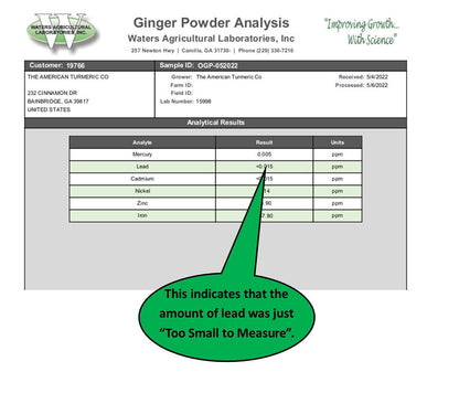 Ginger Powder - Naturally Grown and Lab Tested