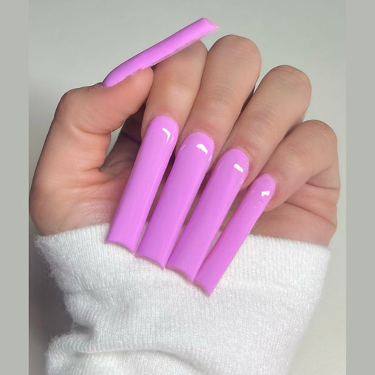 Purple Petal