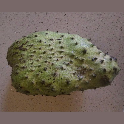 Soursop Sea Moss Gel | Organic Superfood Blend | Immune, Digestive & Vitality Support | SP Health & Beauty