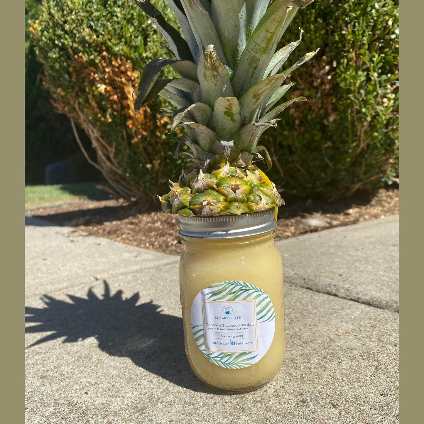 Pineapple Sea Moss Gel     16oz