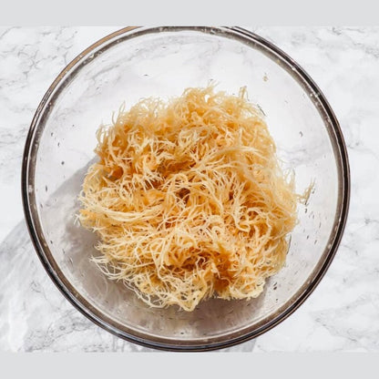 Raw Organic Sea Moss