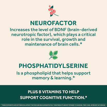 Neuriva Ultra Decaffeinated Brain Supplement – Cognivive™, Neurofactor™, Phosphatidylserine & B6/B12 for Focus, Memory & Alertness (60 Capsules)