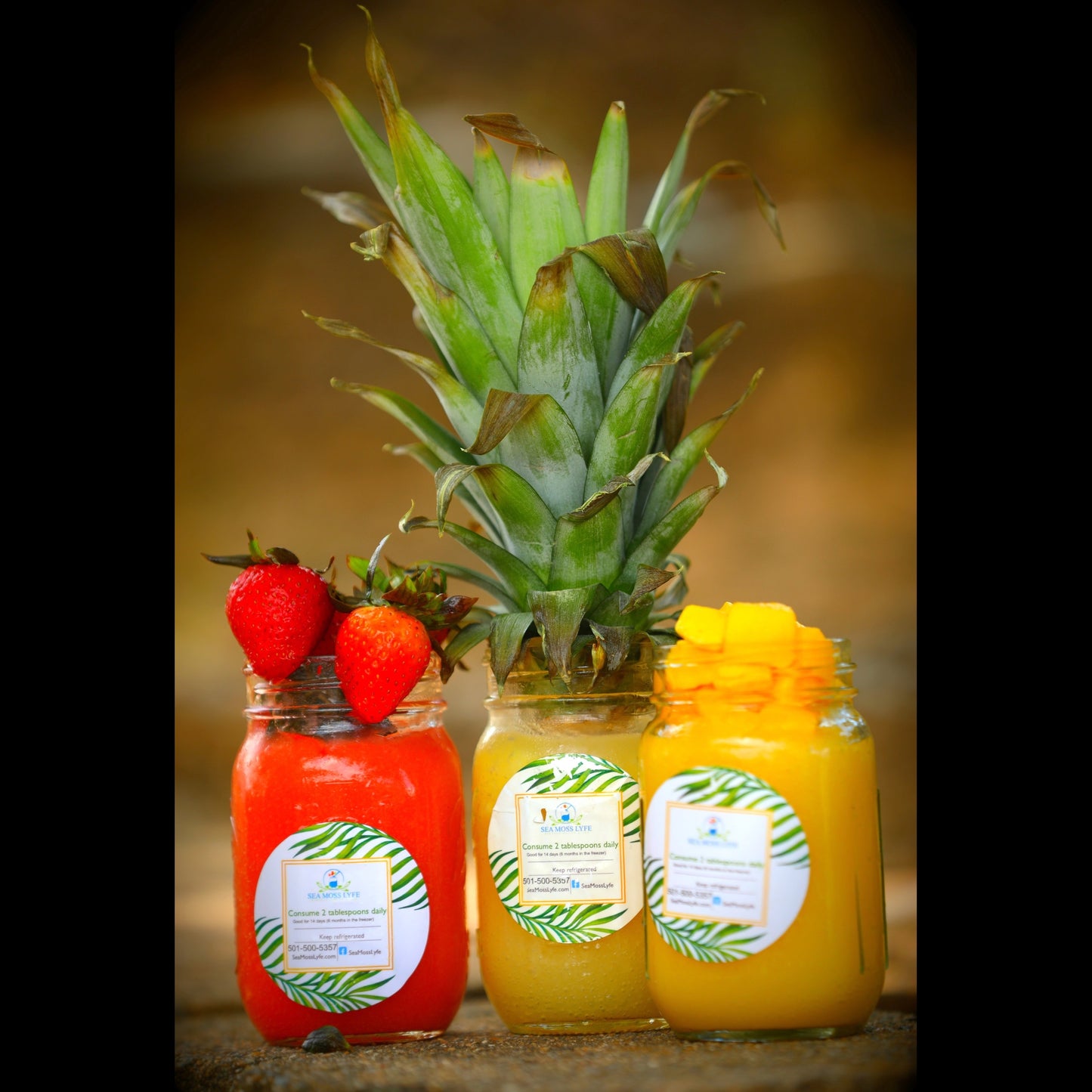 Island Vibes Trio Bundle