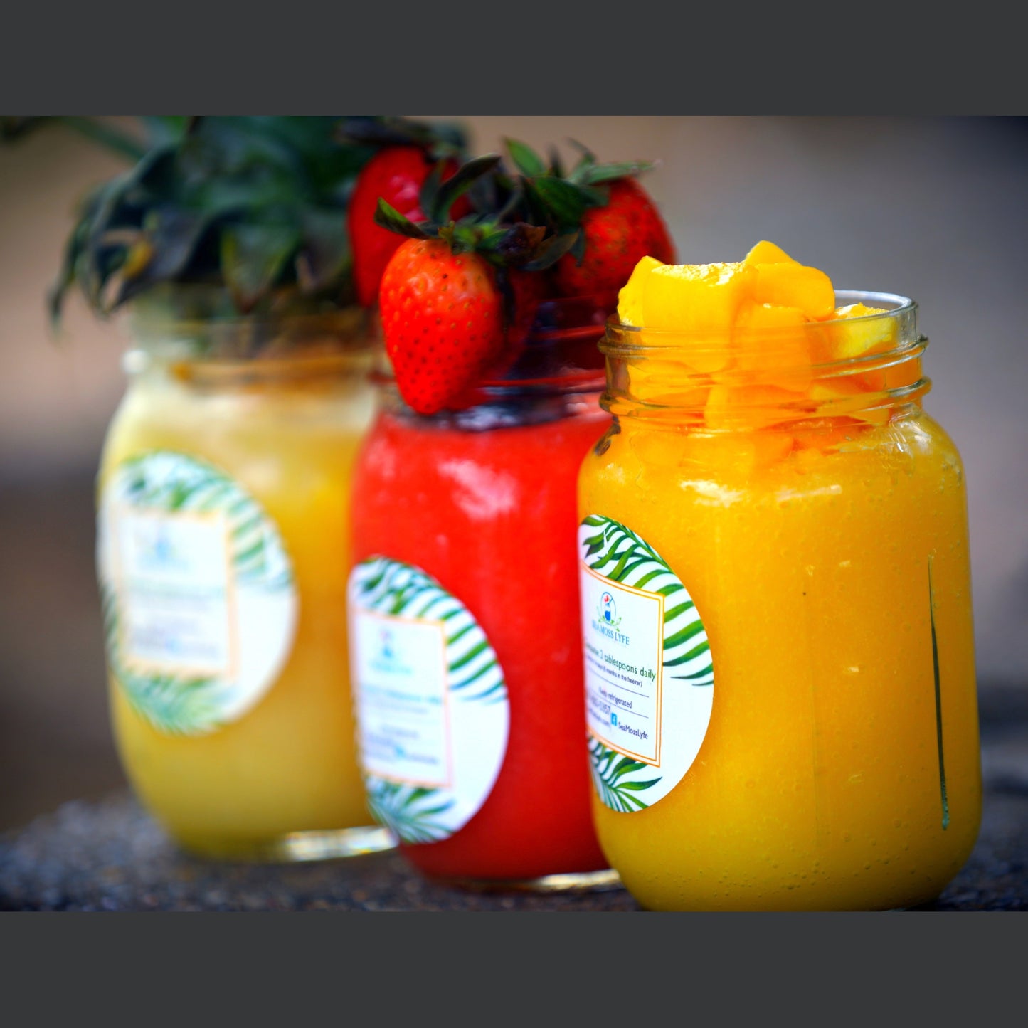 Island Vibes Trio Bundle