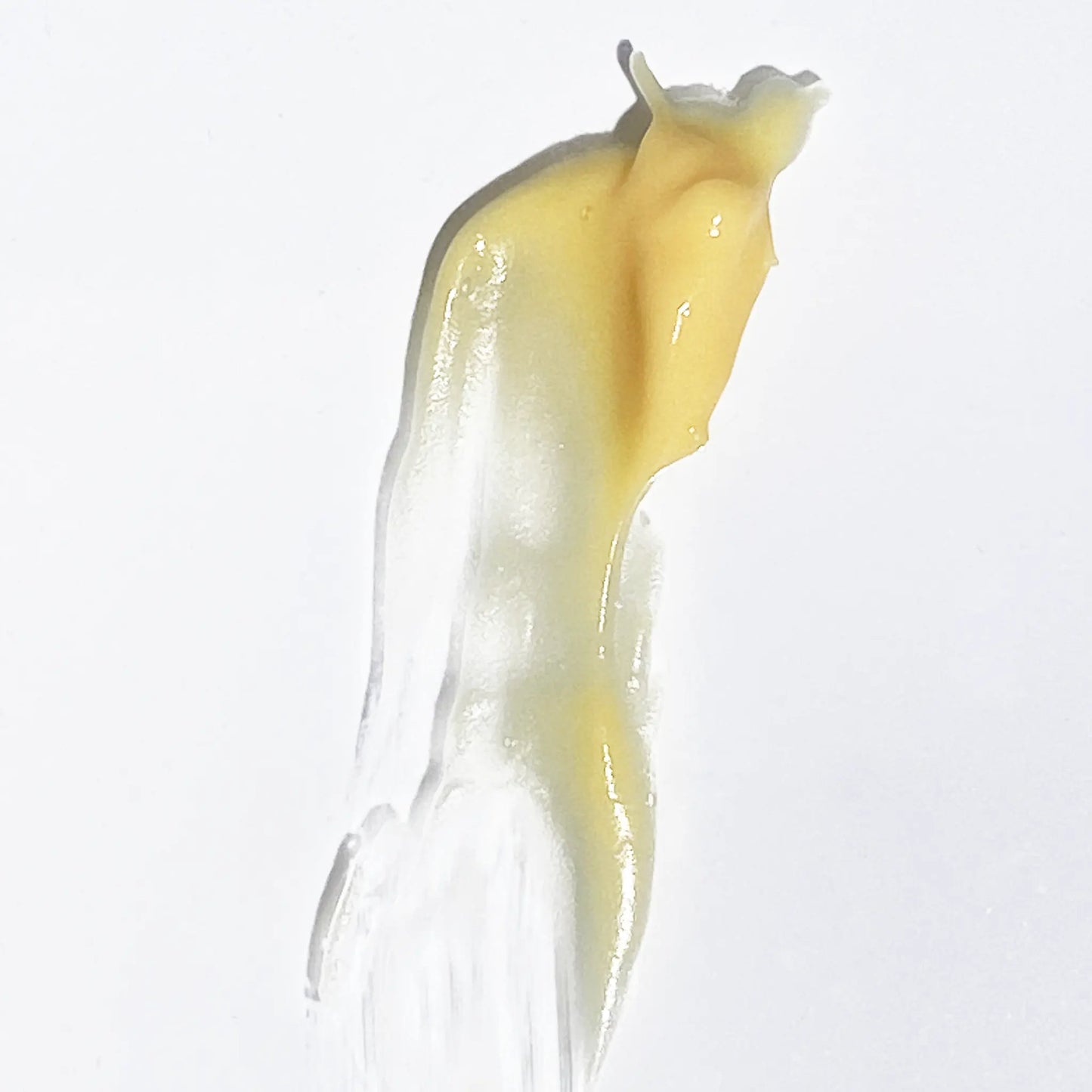 Bakuchiol Night Repair Cream Bakuchiol 1% + Retinyl Palmitate .3% + Hyaluronic acid + Ceramides