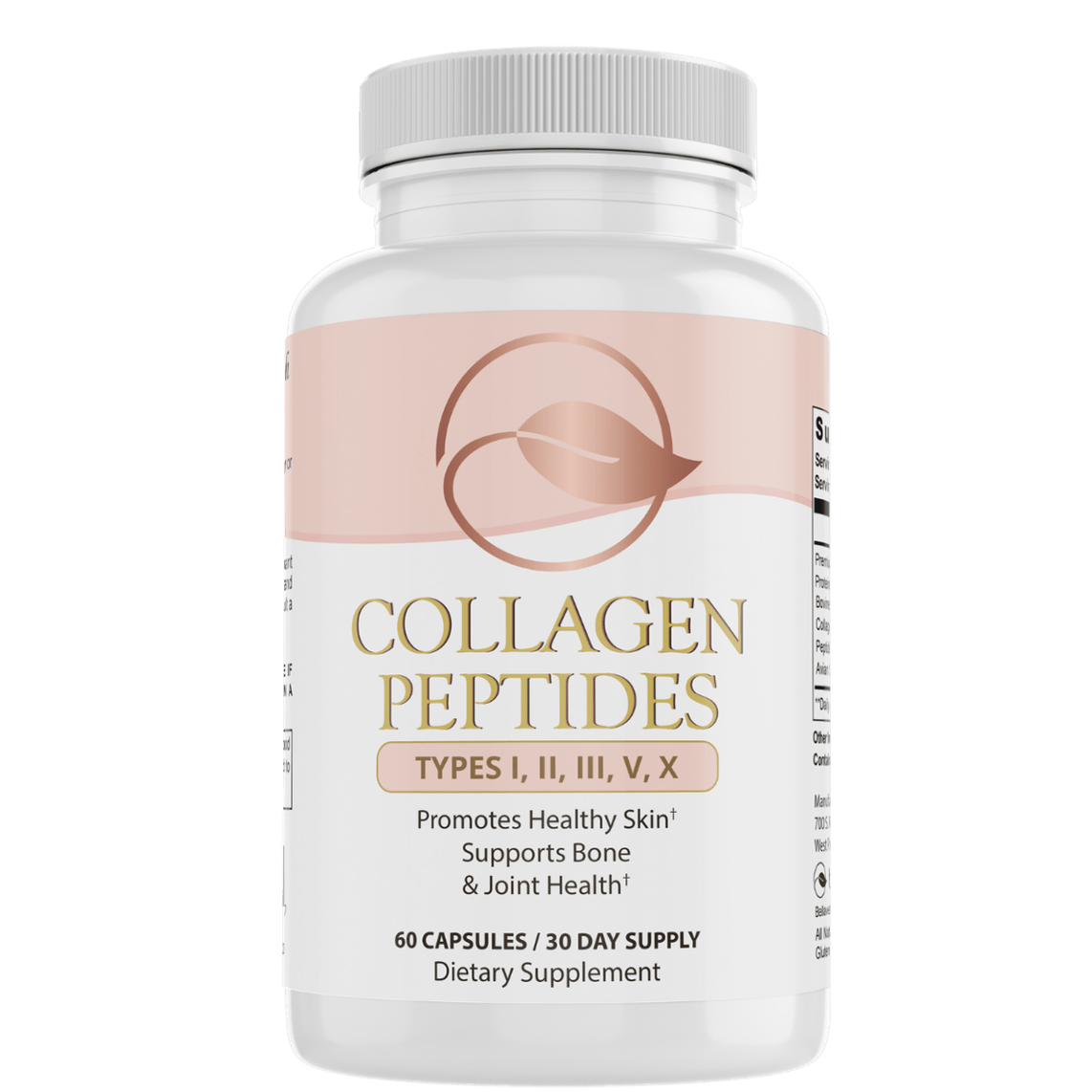 Collagen Peptides Types I, II, III, V, X by Bellawell