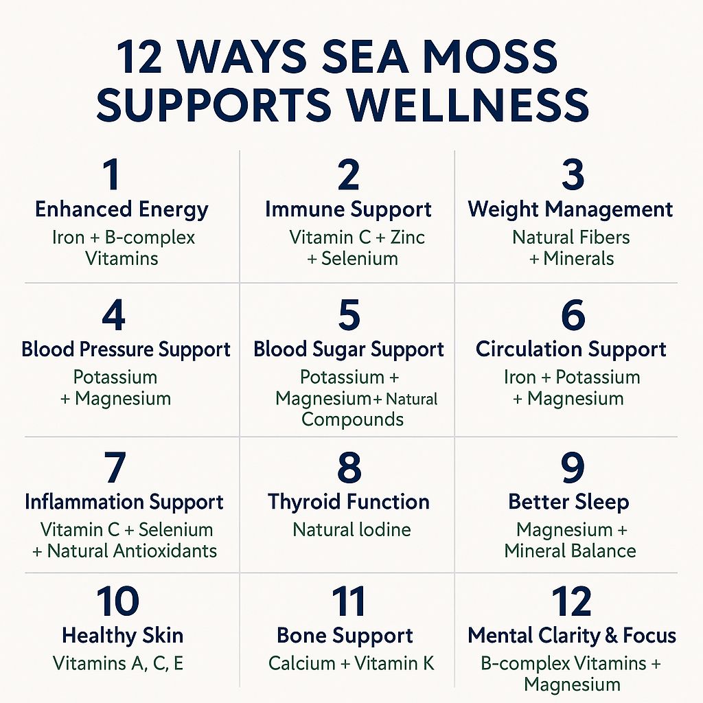 Plain Sea Moss Gel   16oz